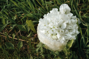 Weddingbouquet Hochzeitfloristik Brautstrauss Wicken Sommerhochzeit Hochzeitfotografie