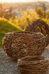 Floristik handmade Grapevine Rebenkugel Korb Sommer Deko Gartendeko Fotografie Innendekoration